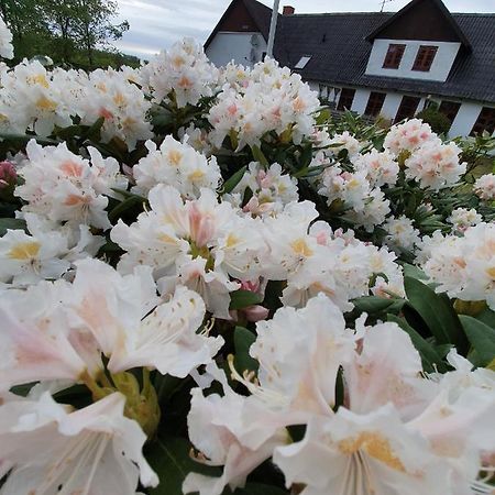 Lysbjerg Bed & Breakfast Faaborg Exterior photo